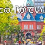 北海道エナジティックの公式サイト画像１