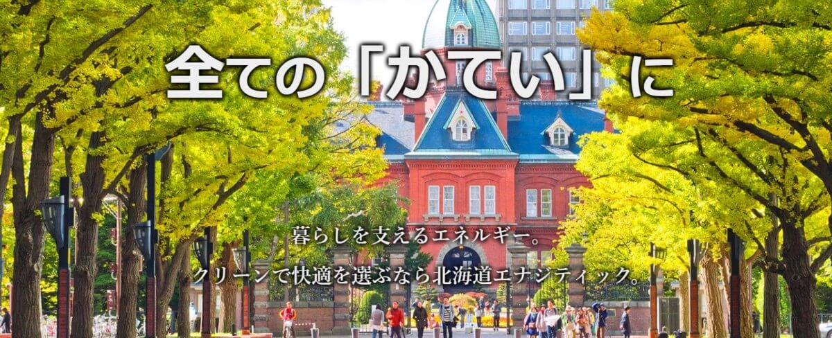 北海道エナジティックの公式サイト画像１