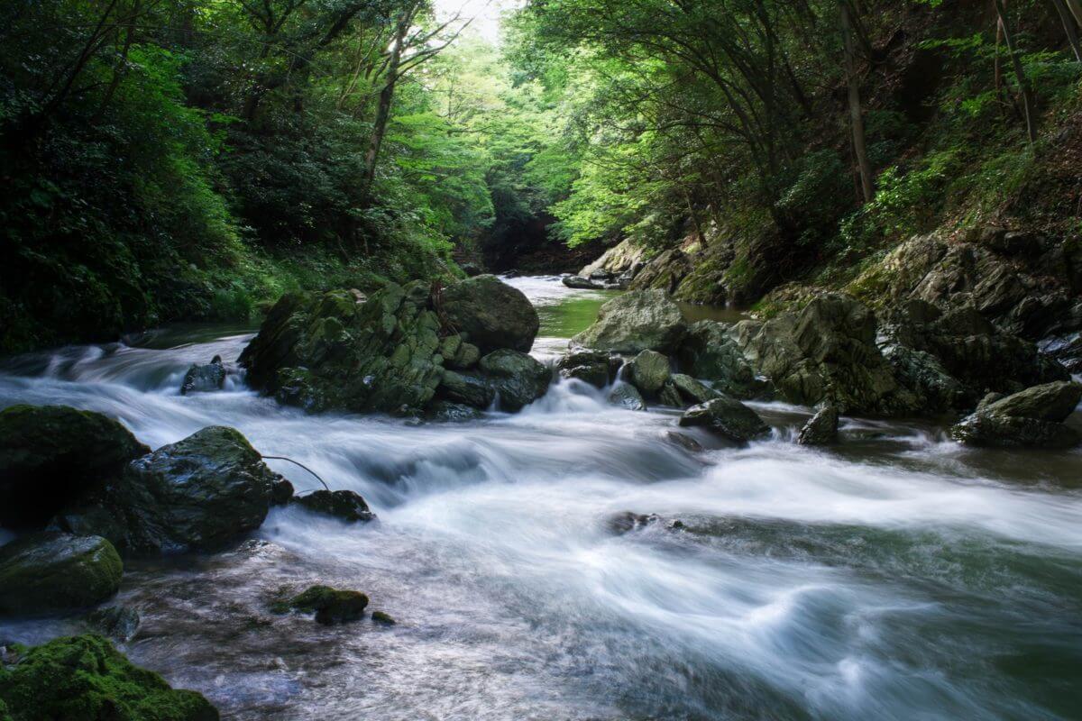 埼玉県の景色