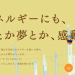 ニチガス（日本瓦斯）の公式サイト画像１